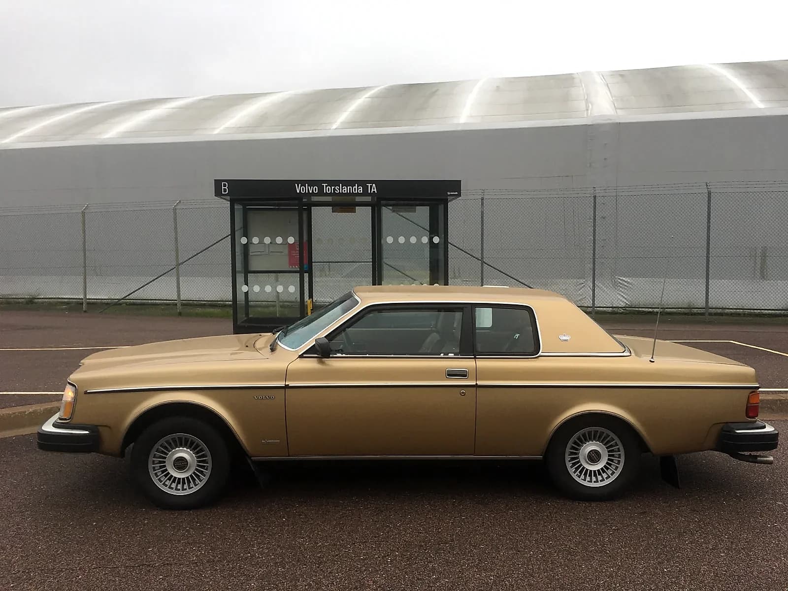 262C Bertone